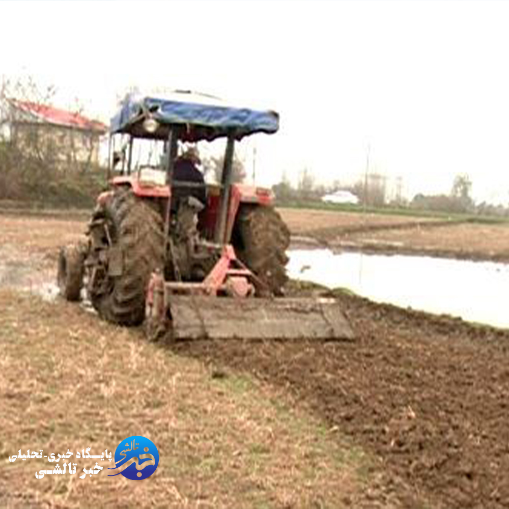 شخم بیش از نیمی از شالیزار‌های شهرستان ماسال