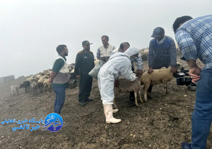 برگزاری اردوی جهادی دامپزشکی شهید جمهور در روستای اسطلخ زیر شاندرمن