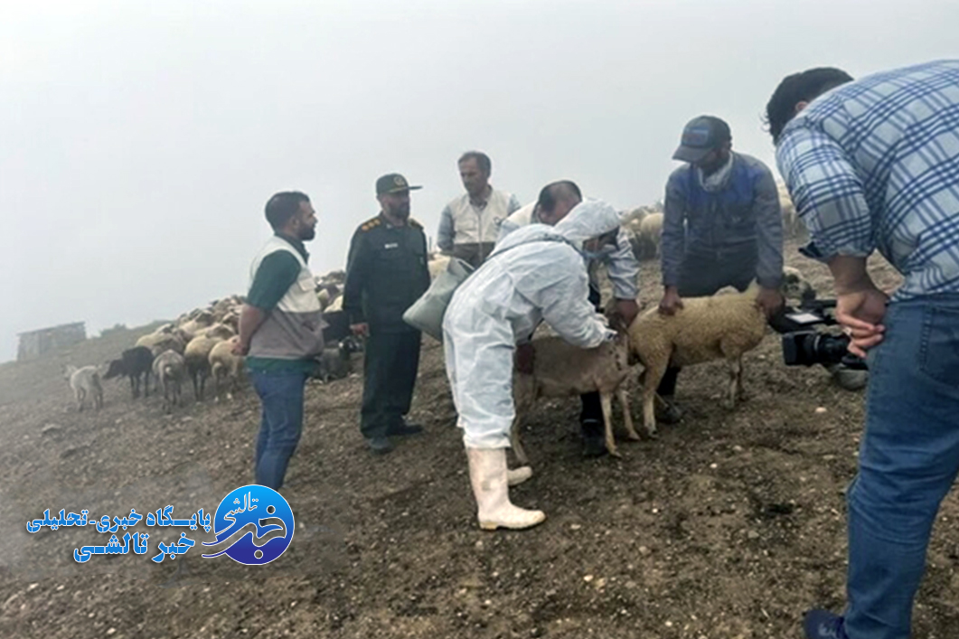 برگزاری اردوی جهادی دامپزشکی شهید جمهور در روستای اسطلخ زیر شاندرمن