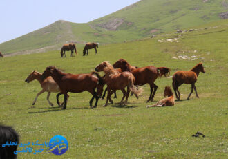 سرخه سنگان، بهشتی بر فراز کوهها