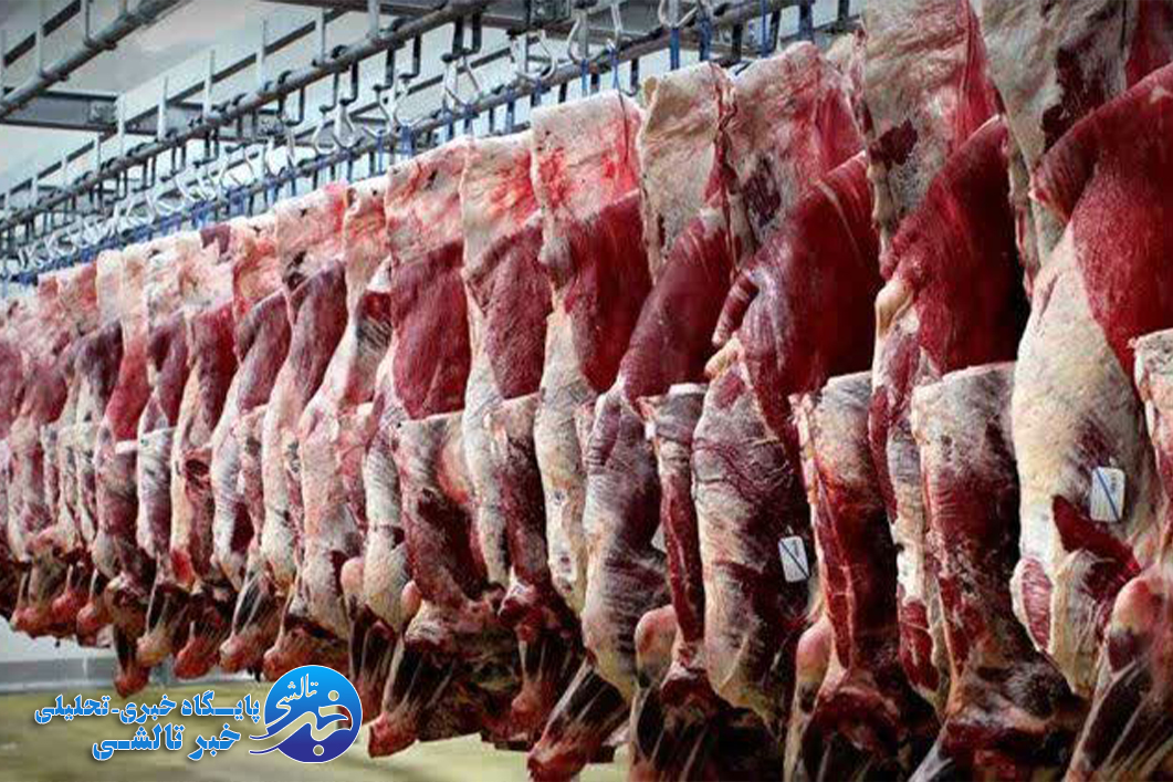 تولید بیش از ۶۰۰ تن گوشت قرمز در فومن