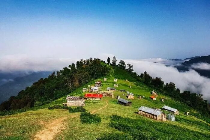 شالما ماسال