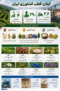 گیلان در تولید چه محصولاتی در ایران اول است؟