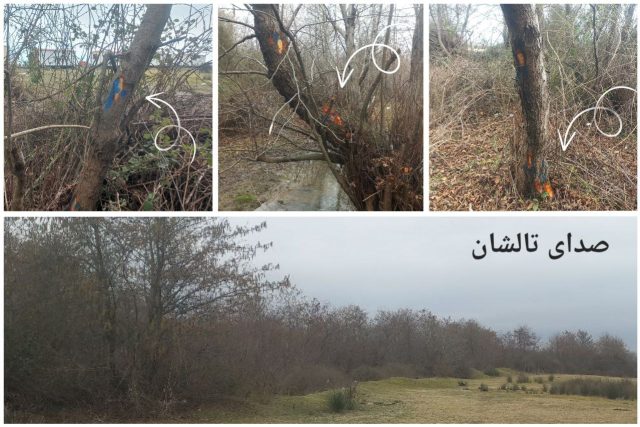 photo_1404-11-26 16.35.04