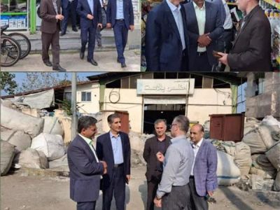 تعاون، کار و رفاه اجتماعی